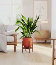 Load image into Gallery viewer, Earth Red stand:walnut