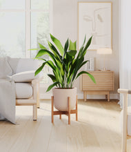 Load image into Gallery viewer, Sandy Pink stand:bamboo