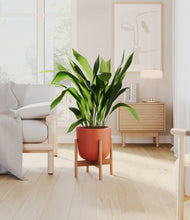 Load image into Gallery viewer, Earth Red stand:bamboo