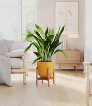 Load image into Gallery viewer, Sunset Orange stand:bamboo