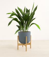 Load image into Gallery viewer, Iron Gray stand:bamboo