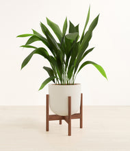 Load image into Gallery viewer, Natural Bamboo stand:walnut