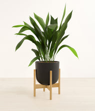 Load image into Gallery viewer, Stone Black stand:bamboo