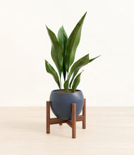 Load image into Gallery viewer, Deep Navy stand:walnut