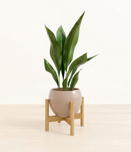 Load image into Gallery viewer, Desert Brown stand:bamboo