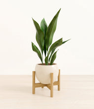 Load image into Gallery viewer, Shiny EggWhite stand:bamboo