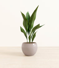 Load image into Gallery viewer, Winter Clouds*****Profile