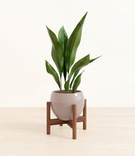 Load image into Gallery viewer, Winter Clouds stand:walnut