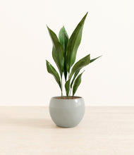 Load image into Gallery viewer, Deep Ocean*****Profile