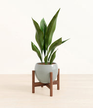 Load image into Gallery viewer, Deep Ocean stand:walnut