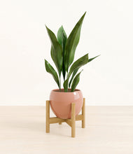 Load image into Gallery viewer, Calm Rose stand:bamboo