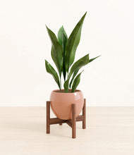 Load image into Gallery viewer, Calm Rose stand:walnut