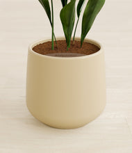 Load image into Gallery viewer, Almond Green stand:all