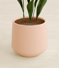 Load image into Gallery viewer, Gentle Pink stand:all