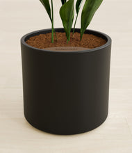 Load image into Gallery viewer, Black stand:all