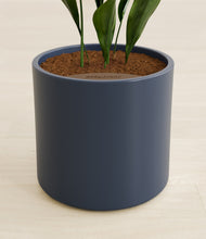 Load image into Gallery viewer, Deep Navy stand:all