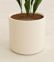 Load image into Gallery viewer, Cream stand:all