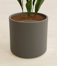 Load image into Gallery viewer, Dark Olive stand:all