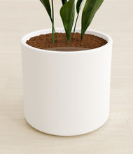 Load image into Gallery viewer, White stand:all