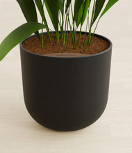 Load image into Gallery viewer, Stone Black stand:all