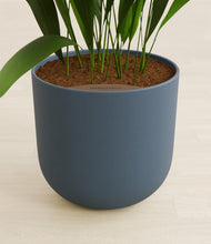 Load image into Gallery viewer, Iron Gray stand:all