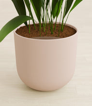 Load image into Gallery viewer, Sandy Pink stand:all