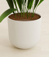 Load image into Gallery viewer, Natural Bamboo stand:all