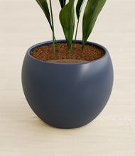 Load image into Gallery viewer, Deep Navy stand:all