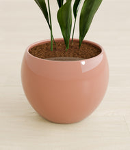 Load image into Gallery viewer, Calm Rose stand:all