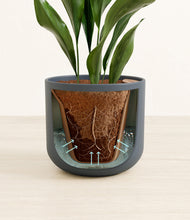 Load image into Gallery viewer, Iron Gray stand:all