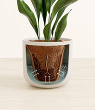 Load image into Gallery viewer, Natural Bamboo stand:all