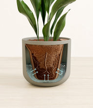 Load image into Gallery viewer, Sage Green stand:all