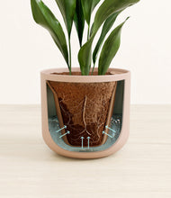 Load image into Gallery viewer, Sandy Pink stand:all