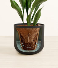 Load image into Gallery viewer, Stone Black