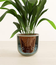 Load image into Gallery viewer, Sage Green stand:all