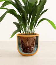 Load image into Gallery viewer, Sunset Orange stand:all