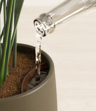 Load image into Gallery viewer, Olive stand:all