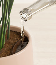 Load image into Gallery viewer, Gentle Pink stand:all