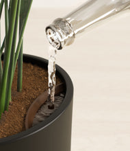 Load image into Gallery viewer, Black stand:all