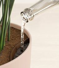 Load image into Gallery viewer, Sandy Pink stand:all