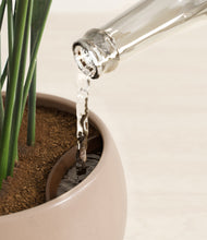 Load image into Gallery viewer, Desert Brown stand:all