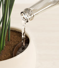 Load image into Gallery viewer, Shiny EggWhite stand:all