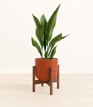 Load image into Gallery viewer, Earth Red stand:walnut