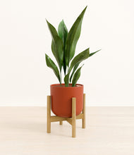 Load image into Gallery viewer, Earth Red stand:bamboo