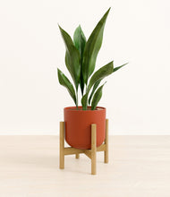 Load image into Gallery viewer, Earth Red stand:bamboo