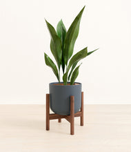 Load image into Gallery viewer, Iron Gray stand:walnut