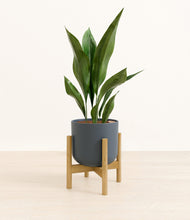 Load image into Gallery viewer, Iron Gray stand:bamboo