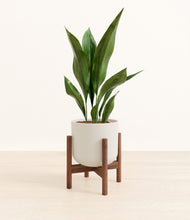 Load image into Gallery viewer, Natural Bamboo stand:walnut