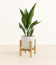 Load image into Gallery viewer, Natural Bamboo stand:bamboo