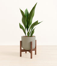 Load image into Gallery viewer, Sage Green stand:walnut